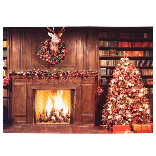 Bookshelf fireplace christmas - fireplace,