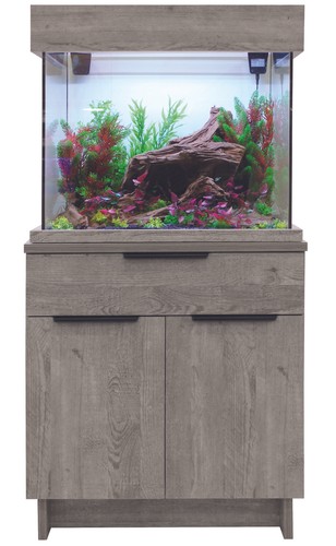 Dis aqua one oakstyle - dis,
