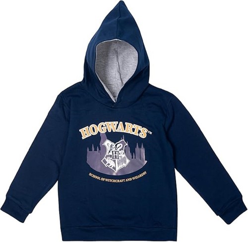 Boys harry potter hoodie - hoodie,