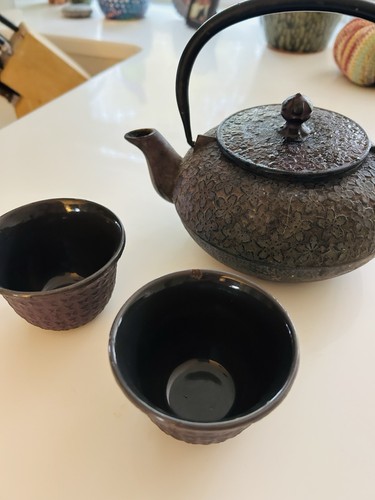 Iwachu japanese tea kettle - iwachu,