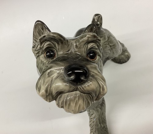 Goebel highland terrier - highland,