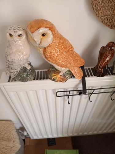 Pair beswick owls tawny - pair,