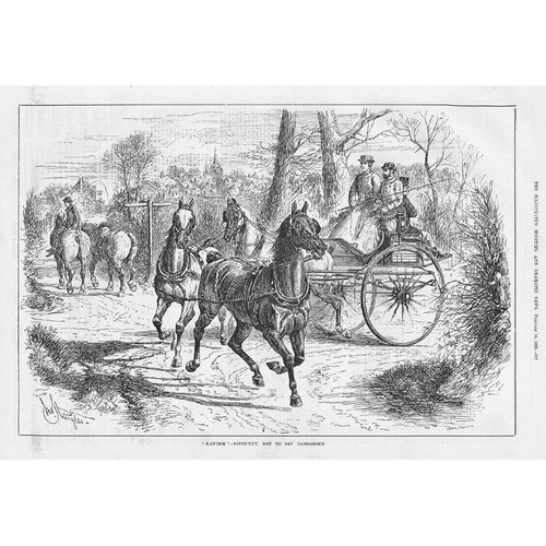 Horse carriage randem - horse,