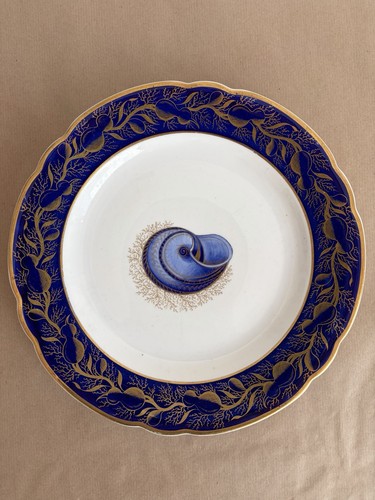 Fine early english spode - fine,