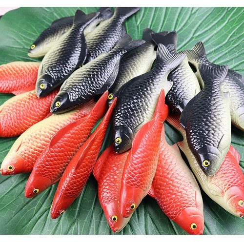 Plastic carp fish - carp, toy
