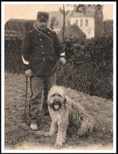 BRIARD AND POLICEMAN DOG PHOTO