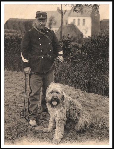 Briard and policeman dog - and, photo