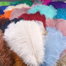 10 Pack Colorful Ostrich