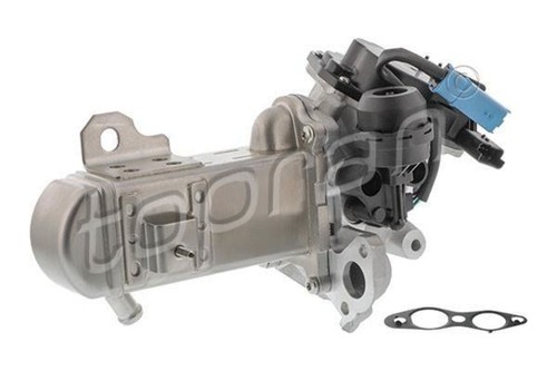 Exhaust gas recirculation - gas,