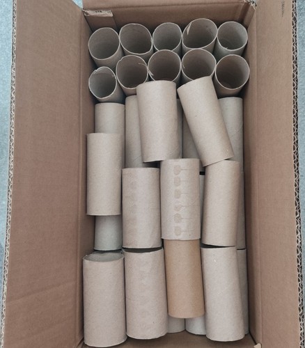 50x empty toilet rolls craft - 50x,