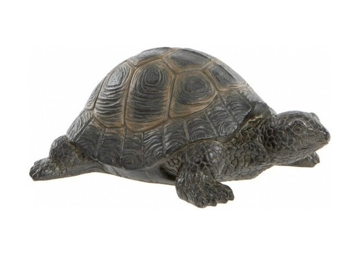 New small tortoise animal - new,