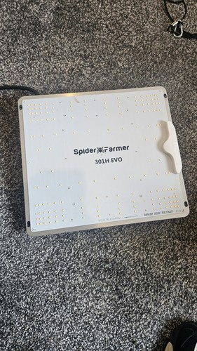 Spider farmer 301h - evo, 301w