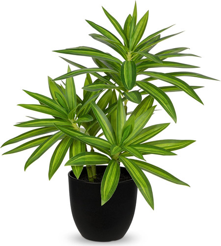 41cm fake plants - plants, black