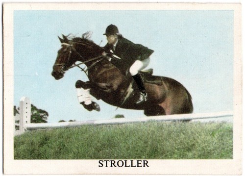 Anglo american gum trade card - gum,