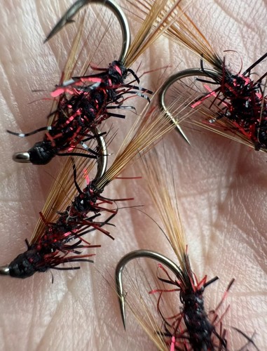 Red holo diawl bach nymph - holo,