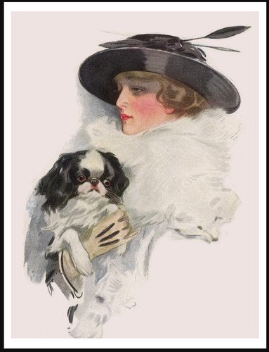 Japanese chin and elegant lady - japanese,