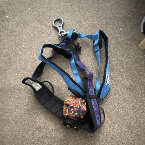 Petzl climbing harness - harness, used