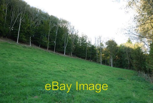Photo 6x4 edge fontmell - photo, of