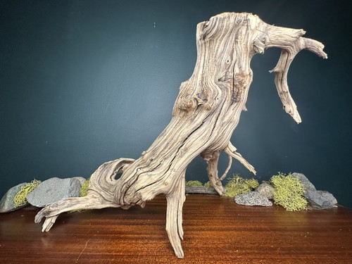 Manzanita driftwood - manzanita,