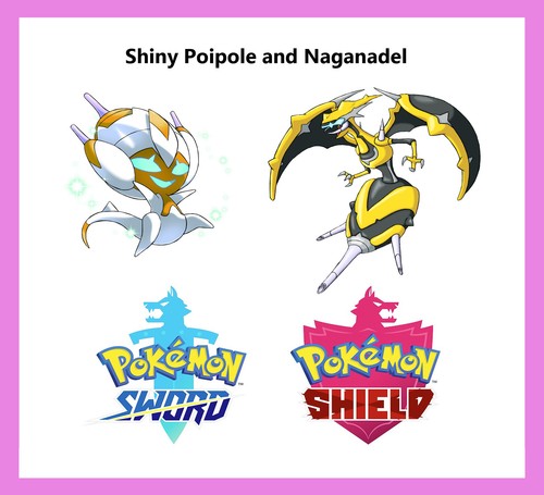 Pokemon sword shield - -, event