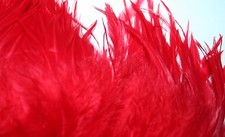 Fly Tying Hareline Large Dyed Saddle Hackles 11 colour Bass Pike  Fishing M1