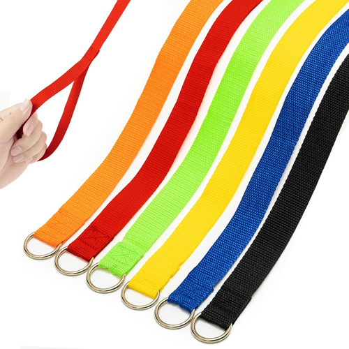 Slip lead dog - leash,, 6