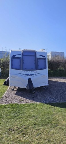 2013 bailey pegasus - bailey,
