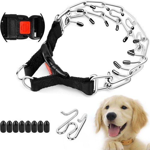 Prong pinch training collar - prong,