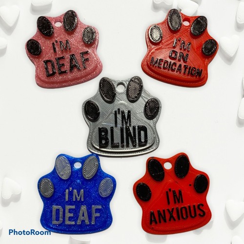 Canine blindness blind dog - blindness,,