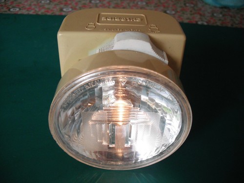 Vintage 1970 ever ready - 1970's,