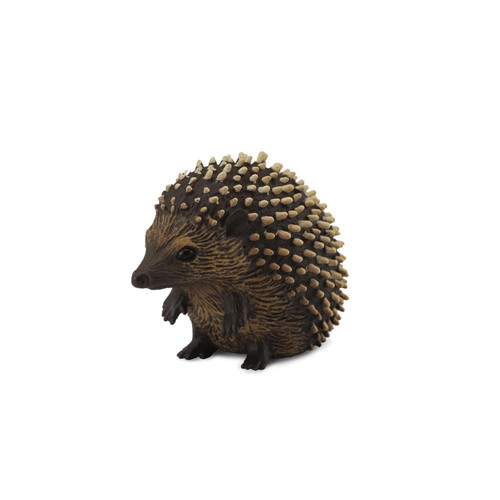Collecta hedgehog - collecta,