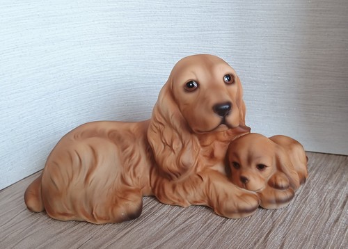 New harvey knox cocker - harvey, spaniel