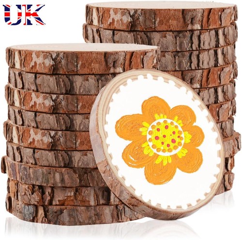 Wood slices discs tree - wood,
