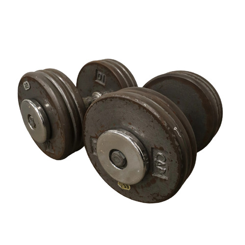 Freeweights pro style dumbbell - freeweights,