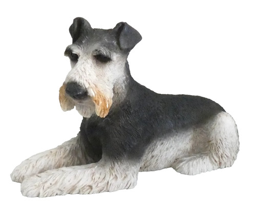 Schnauzer dog castagna - dog, by