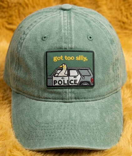 Got too silly - got,