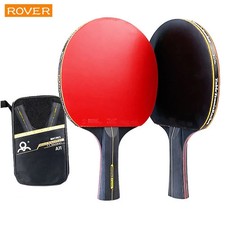 Professional Table Tennis