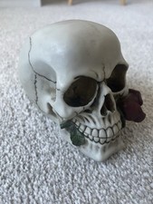 Gothic Skull With Red Rose