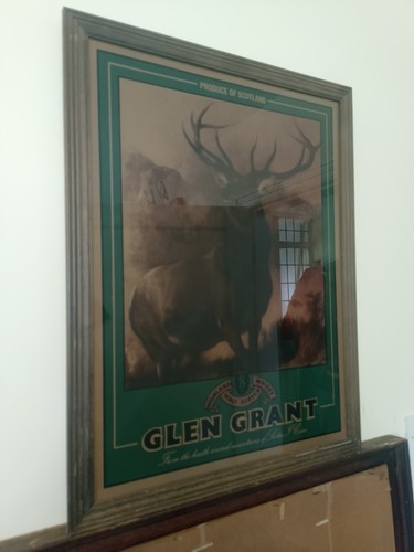 Glen grant whisky - picture,