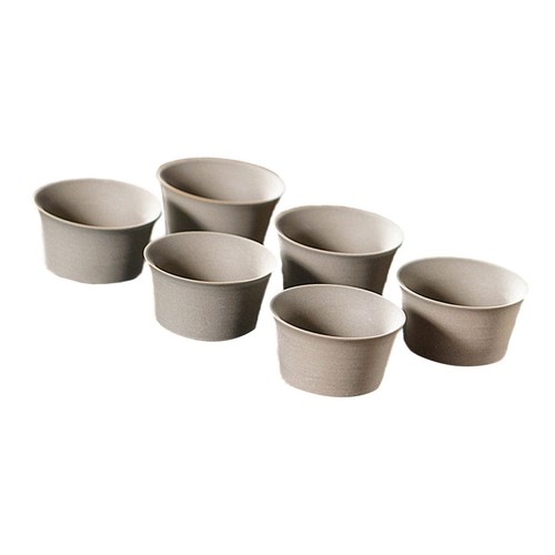6pcs chinese tea cup coffee - cup,