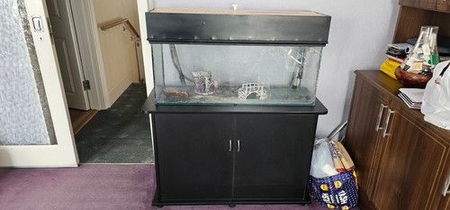 Aquarium fish tank complete - aquarium,