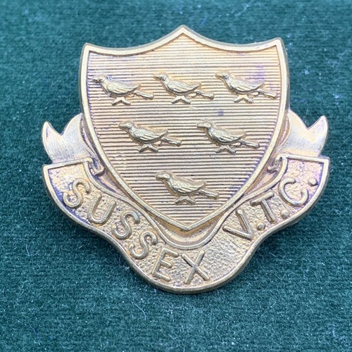 Sussex volunteer trading corps - volunteer,