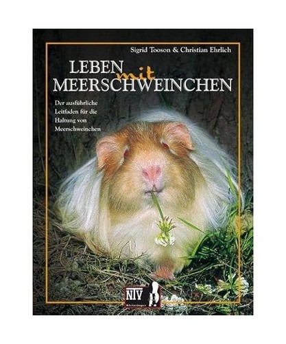 Leben mit meerschweinchen - leben,