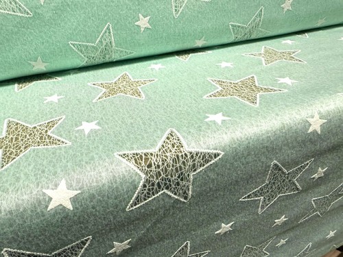 Single jersey fashion fabric - single,