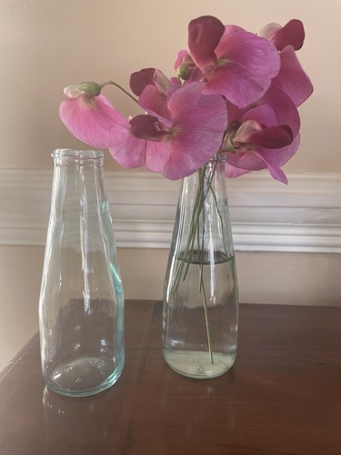Glass mini milk - 2, bottle