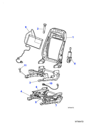Jaguar genuine rise and - rise,