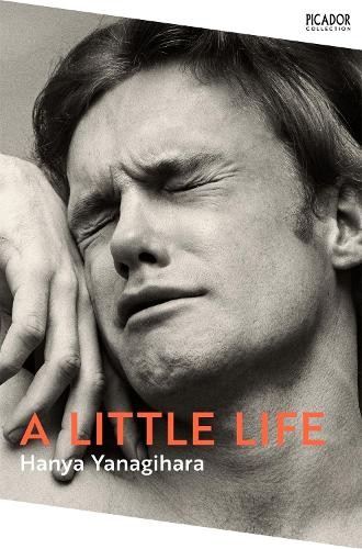 Little life picador - little,