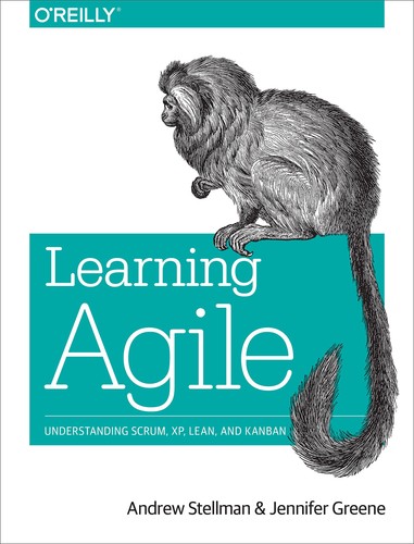 Learning agile understanding - learning, agile:
