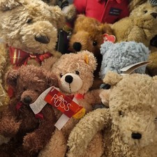 Teddy Bear (Choose Your Bear) Russ, Harrods, Ty, Shelly, Gund, Steiff, Chad ?