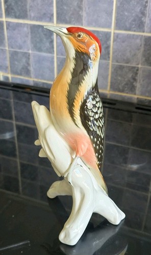 Karl ens woodpecker - karl,